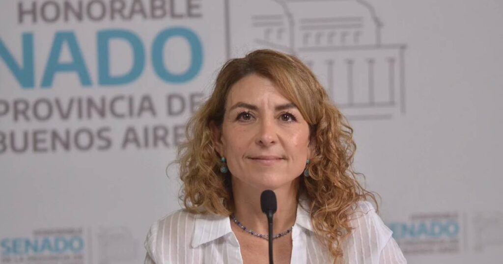 Discapacidad: el Senado bonaerense aprobó un proyecto para crear espacios de higiene y cambio